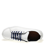 Leather sneakers - Frau Shoes | Official Online Shop