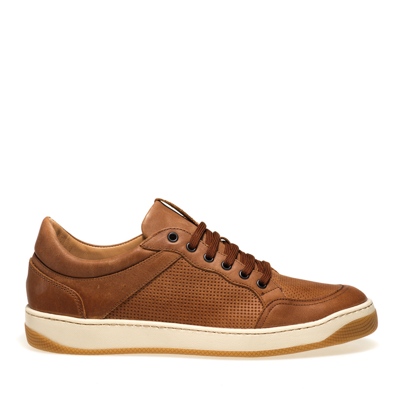 Perforated leather city sneakers | Frau Shoes | Official Online Shop